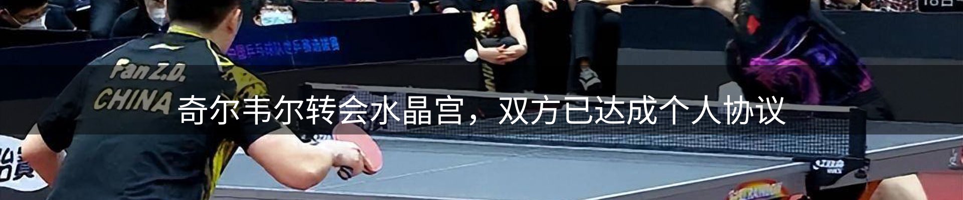 动态中心