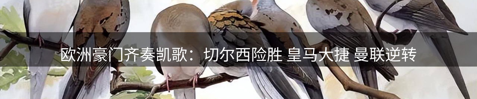 动态中心